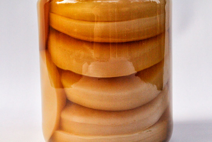 SCOBY Hotel – How to store your kombucha tea fungi - Natural Kefir Drinks  Recipe Blog