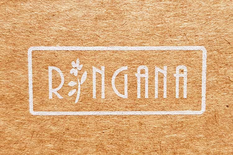 Ringana Partner werden | Finanzielle Freiheit für Dich