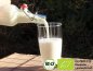 Preview: Leckeren Bio Milchkefir | Kefir Drink mit Hilfe von echten Kefirpilzen selbst herstellen und von der positiven Wirkung profitieren.