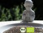Preview: Wollen Sie Milchkefir bzw. Kefir Müsli mit diesen exklusiven schwarzen Bio Chia Samen verfeinern? Hier Bio schwarze Chia Saat online kaufen