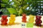 Preview: Hier getrocknete Bio Frucht Bärchen / Gummibärchen ohne Gelatine online kaufen