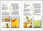 Preview: Would you like to make delicious kefir recipes at home? Here you can the Natural-Kefir-Drinks.de water kefir recipes e-book with the best 5 recipes