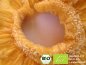 Preview: Would you like to make and refine kombucha tea, water kefir soda and Ginger Root lemonade with these exclusive organic pineapple rings. Here you can buy organic pineapple rings online