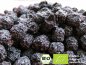 Preview: Would you like to make and refine kombucha tea, water kefir soda and Ginger Root lemonade with these exclusive organic chokeberries? Here you can buy organic chokeberries online