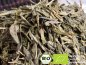 Preview: Möchten Sie gern Kombucha selber machen mit diesem leckeren grünen Bio Tee? Hier können Sie Bio China Sencha Tee online sicher kaufen bestellen