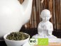 Preview: Möchten Sie gern Kombucha selber machen mit diesem leckeren grünen Bio Tee? Hier können Sie Bio China Sencha Tee online sicher kaufen bestellen
