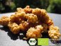 Preview: Would you like to make and refine kombucha tea, water kefir soda and Ginger Root lemonade with these exclusive organic mulberries? Here you can buy organic mulberries online