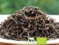 Preview: Möchten Sie gern Kombucha selber machen mit diesem leckeren schwarzen Bio Tee? Hier können Sie BIO Darjeeling TGFOP-I