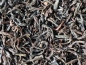 Preview: Would you like to make or brew your own kombucha tea with this delicious black tea? Here you can order Ceylon OP