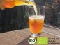 Preview: Leckeren Bio Kombucha | Teepilz Getränk Drink mit Hilfe von echten Kombuchapilzen selbst herstellen und von der positiven Wirkung profitieren.