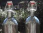 Preview: Leckeren Wasserkefir | Kefir Drink mit Hilfe von echten Japankristallen selbst herstellen und von der positiven Wirkung profitieren.