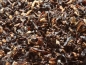 Preview: Would you like to make or brew your own kombucha tea with this delicious black tea? Here you can order Assam FBOP