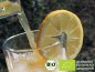 Preview: Leckeren Bio Wasserkefir | Kefir Drink mit Hilfe von echten Japankristallen selbst herstellen und von der positiven Wirkung profitieren.