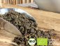 Preview: Bio China Oolong Tee - geschmacklich einzigartig mit ausgewogenem Aroma - Wollen Sie leckeren Kombucha Tee einfach selber herstellen und sicher bestellen? Hier finden Sie alles rund um den idealen Tee für Ihren Kombucha, Herstellanleitungen und leckere Re