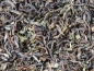 Preview: Would you like to make or brew your own kombucha tea with this delicious black tea? Here you can order Darjeeling FTGFOP TKM - DECAFFEINATED tea online safe and secure at the best price