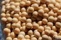 Preview: Organic Soybeans
