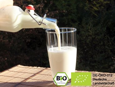 Leckeren Bio Milchkefir | Kefir Drink mit Hilfe von echten Kefirpilzen selbst herstellen und von der positiven Wirkung profitieren.