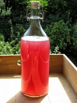 Fresh delicious organic water kefir [flavor blueberry & elder] - the finished drink - just order - open and enjoy :-) For everyone who doesn't feel like it or doesn't have time and just wants to enjoy this delicious sparkling water. Buy water kefir online