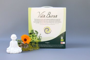 Vita Biosa Original 3 Liter Bag-in-Box in Bio Qualität - Fermentgetränk mit Milchsäurebakterien und Kräutern