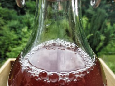 Fresh delicious organic water kefir [flavor soured cherry] - the finished drink - just order - open and enjoy :-) For everyone who doesn't feel like it or doesn't have time and just wants to enjoy this delicious sparkling water. Buy water kefir online her