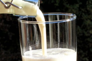 Mit diesem Bio Joghurtferment ganz einfach frischen leckeren A-Fil (Skandinavien) Joghurt selber machen - einfachste Joghurt Herstellung - Erfolgsgarantie - Anleitungen und Rezepte Gratis - sichere Bestellung - Bio Joghurtkultur kaufen, Bio Joghurtkulture