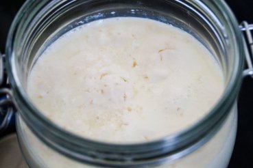 Make FILMJOLK yogurt yourself Yogurt ferment | Natural yogurt from Sweden