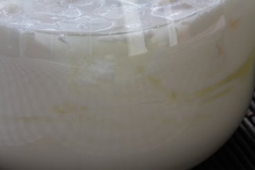 Make Peking yoghurt yourself Yogurt ferment | Natural yogurt from China