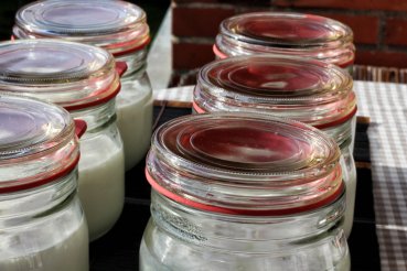 Mit diesem Bio Joghurtferment ganz einfach frischen leckeren polnischen Joghurt selber machen - einfachste Joghurt Herstellung - Erfolgsgarantie - Anleitungen und Rezepte Gratis - sichere Bestellung - Bio Joghurtkultur kaufen, Bio Joghurtkulturen bestelle