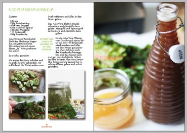 Möchten Sie gern leckere Kombucha Rezepte zum selber machen? Hier bekommen sie das Natural-Kefir-Drinks.de Rezepte E-Book mit den 5 besten Rezepten.