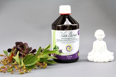 Vita Biosa ARONIA 500ml in Bio Qualität - Fermentgetränk mit Milchsäurebakterien und Kräutern