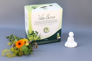 Vita Biosa Original 3 Liter Bag-in-Box in Organic Quality - Fermented Drink with lactic acid bacteria and herbs