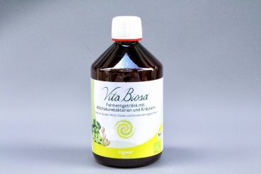 Vita Biosa Ingwer 500ml in Bio Qualität - Fermentgetränk mit Milchsäurebakterien und Kräutern