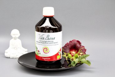 Vita Biosa HABEBUTTE 500ml in Bio Qualität - Fermentgetränk mit Milchsäurebakterien und Kräutern