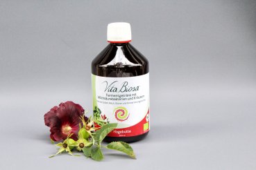 Vita Biosa Rosehip 500ml in Organic Quality - Fermented Drink with lactic acid bacteria and herbs