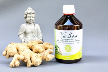 Vita Biosa GINGER 500ml in Organic Quality - Fermented Drink with lactic acid bacteria and herbs - Kopie