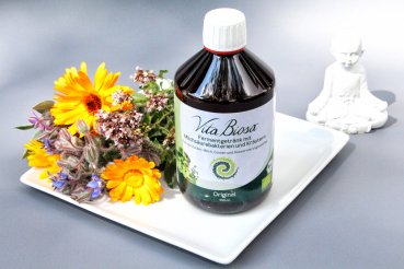 Vita Biosa ORIGINAL 500ml in Bio Qualität - Fermentgetränk mit Milchsäurebakterien und Kräutern