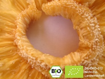 Would you like to make and refine kombucha tea, water kefir soda and Ginger Root lemonade with these exclusive organic pineapple rings. Here you can buy organic pineapple rings online