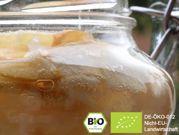 Wollen Sie Kombucha, Wasserkefir (Japankristalle) und Ginger Root Beer mit diesen exklusiven Bio Apfelringen herstellen und verfeinern? Hier getrocknete Bio Apfelringe online kaufen