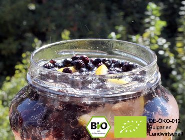 Would you like to make and refine kombucha tea, water kefir soda and Ginger Root lemonade with these exclusive organic chokeberries? Here you can buy organic chokeberries online