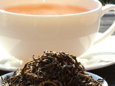 Golden Nepal TGFOP - Ein vollaromatischer Tee mit zahlreichen Blattspitzen - Wollen Sie leckeren Kombucha Tee einfach selber herstellen und sicher bestellen? Hier finden Sie alles rund um den idealen Tee für Ihren Kombucha, Herstellanleitungen und leckere
