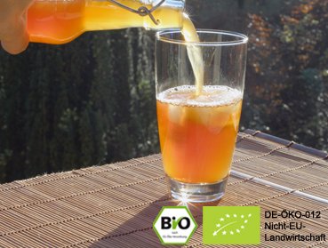 Leckeren Bio Kombucha | Teepilz Getränk Drink mit Hilfe von echten Kombuchapilzenzu Hause selber machen und von der positiven Wirkung profitieren.