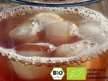 Leckeren Bio Kombucha | Teepilz Getränk Drink mit Hilfe von echten Kombuchapilzen selbst herstellen und von der positiven Wirkung profitieren.