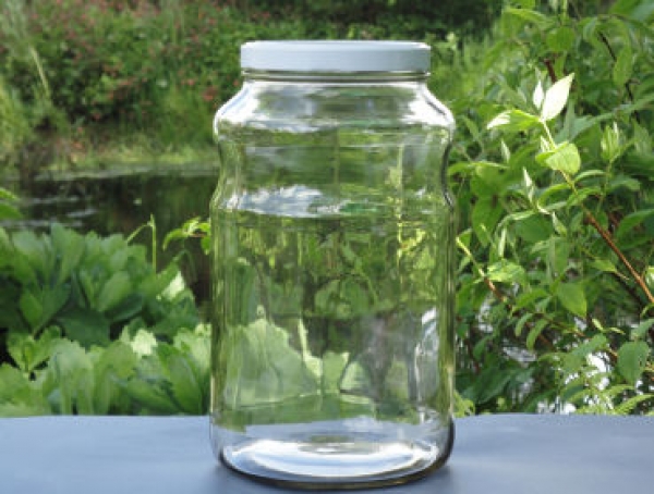 Would you like to make kombucha tea, water kefir soda, milk kefir and Ginger Root lemonade with these high quality glass / fermentation jar? Here you can buy best quality vessels online