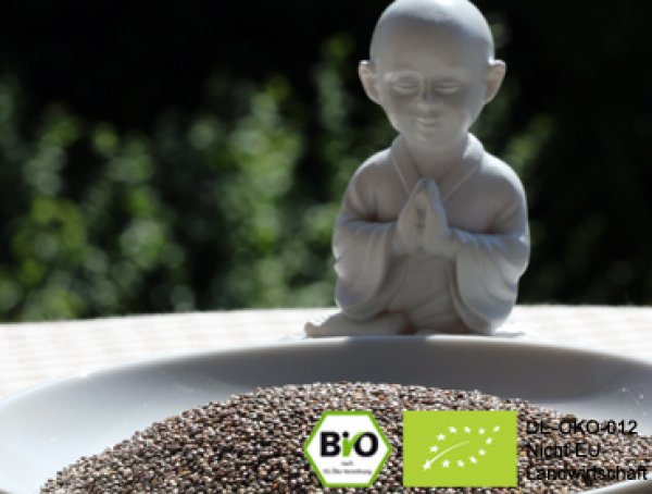 Wollen Sie Milchkefir bzw. Kefir Müsli mit diesen exklusiven schwarzen Bio Chia Samen verfeinern? Hier Bio schwarze Chia Saat online kaufen