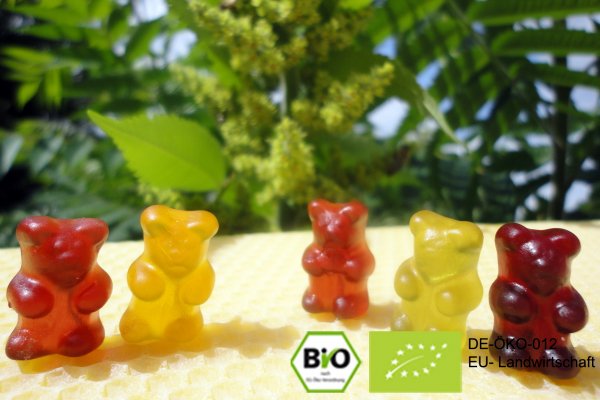 Hier getrocknete Bio Frucht Bärchen / Gummibärchen ohne Gelatine online kaufen