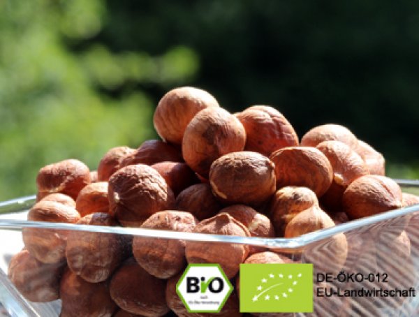 Would you like to refine milk kefir muesli with these exclusive organic hazelnuts. Here you can buy organic hazel, filbert online