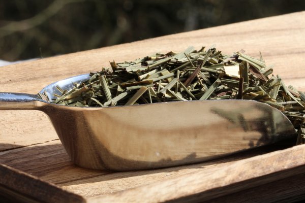 Do you want to order Kombucha / Kombucha tea in the lemongrass flavor? Buy raw kombucha tea here buy order online - recipes free - secure order -