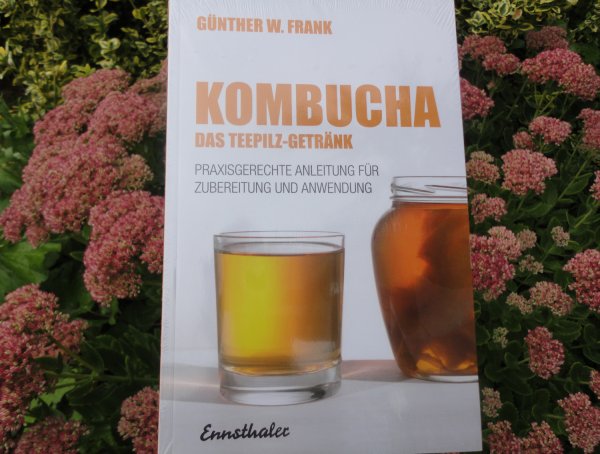 Wollen Sie wichtige Informationen über Kombucha Teepilz erhalten? Hier Buch über Kombucha kaufen online