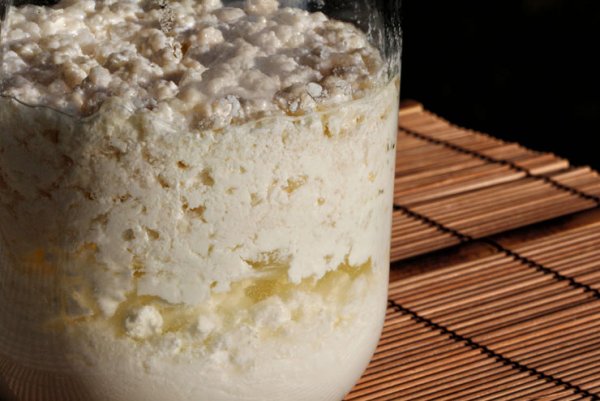 Would you like to enjoy original organic kefir and do not currently have the opportunity to make milk kefir with the kefir mushrooms yourself? Then you've come to the right place: Fresh, delicious organic kefir / milk kefir - made from real organic milk k