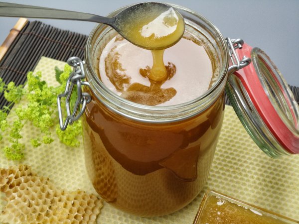 Wollen Sie selber Jun Kombucha mit Bio Honig machen? Oder einfach nur guten Honig genießen? Hier Bio Honig bestellen, kaufen online